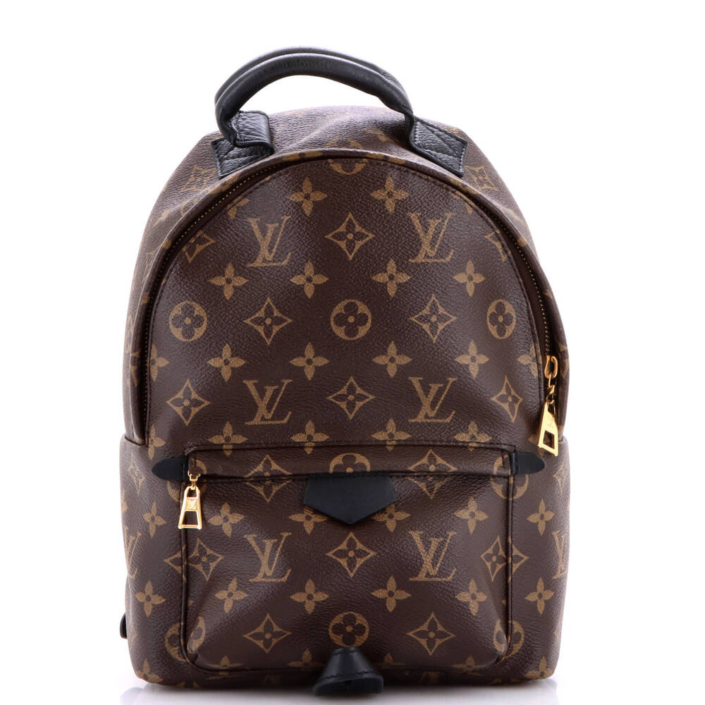 Louis Vuitton PM Palm Springs Backpack